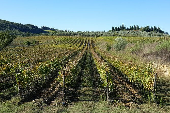 discover-chianti-through-its-wines