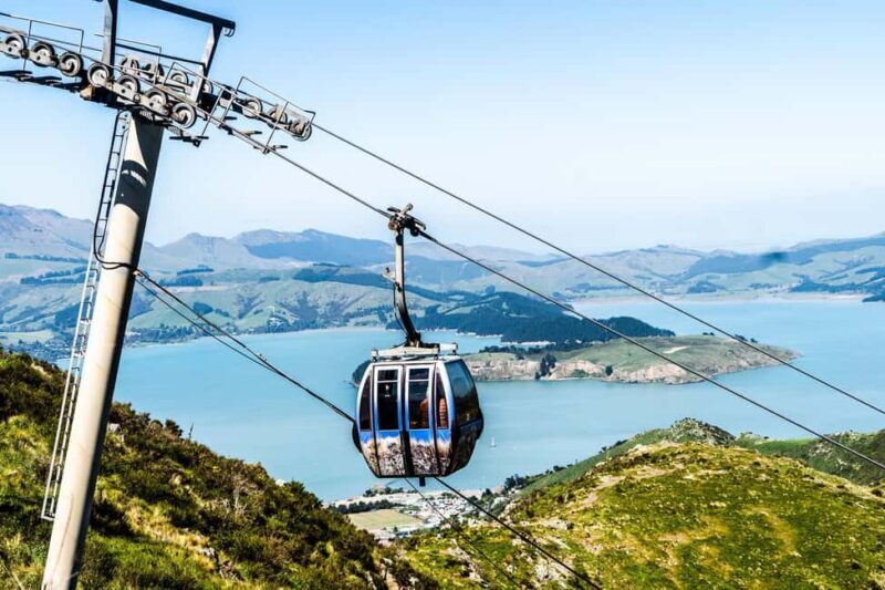 Discover Christchurch Tour with Lunch - Discover Christchurch Tour with Lunch: An Insider’s Look
