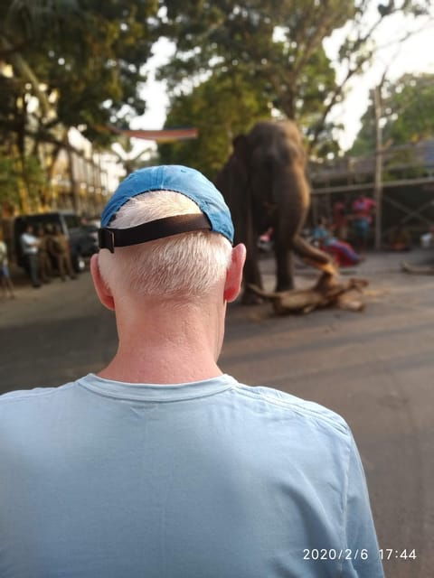 discover-colombo-with-tuk-tuk-tours-sri-lanka