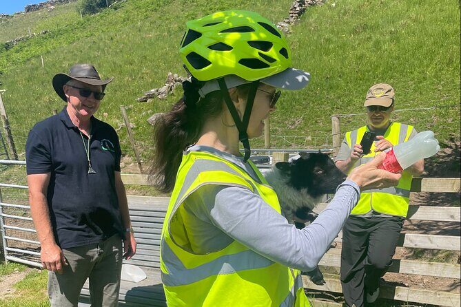 Discover Connemara Tour by Electric Fat Tyre Bike - Who Is This Tour Best For?