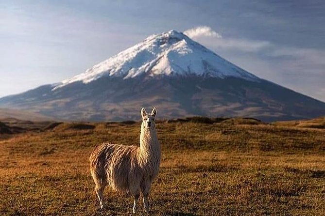 discover-cotopaxi-all-inclusive-hiking-tour