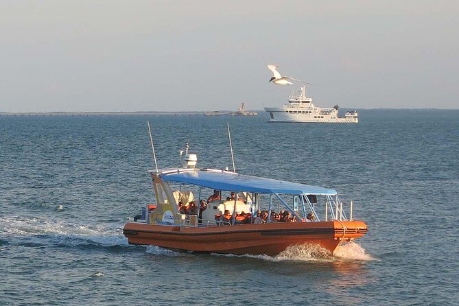 Discover Darwin Harbour 1 hour Darwin Harbour Cruise - An Overview of the Experience