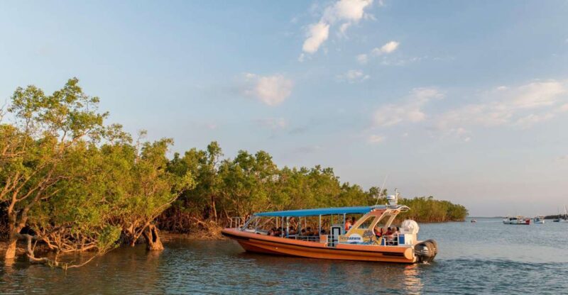Discover Darwin Harbour: Darwin Harbour Afternoon Cruise - The Experience’s Strengths
