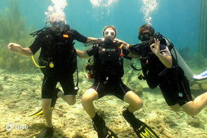 discover-diving-in-curacao-with-transportation-included