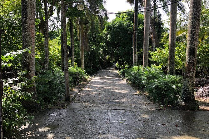 discover-dominican-life