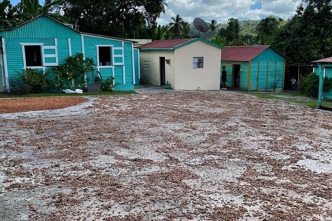 discover-dominican-life