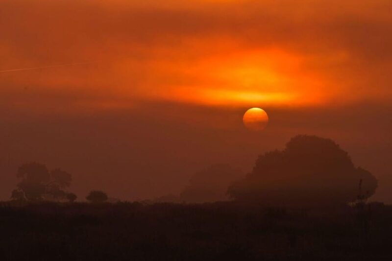 discover-donana-iberian-lynx-premium-nature-tour
