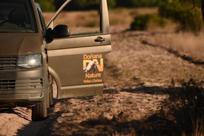 discover-donana-iberian-lynx-premium-nature-tour