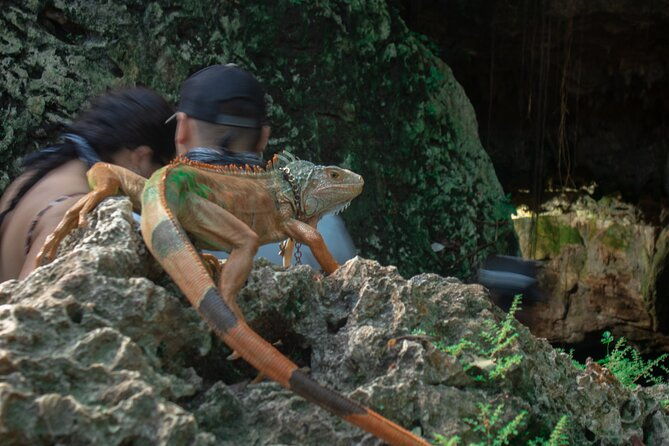 discover-dune-buggy-rd