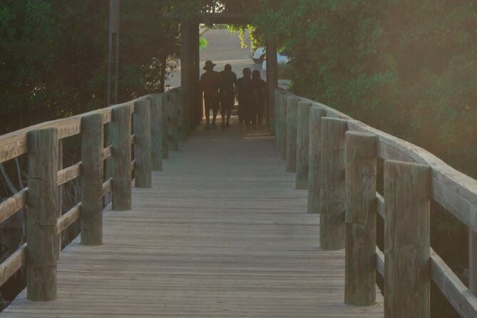 discover-dune-buggy-rd