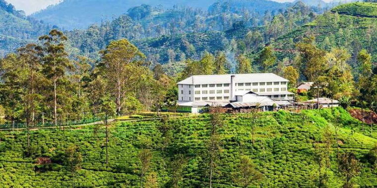 discover-ella-all-inclusive-day-tour-to-7-iconic-landmarks