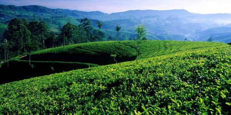 discover-ella-all-inclusive-day-tour-to-7-iconic-landmarks