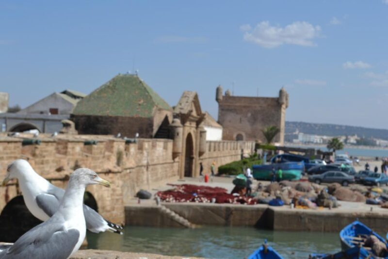 Discover Essaouira: A Day Tour from Marrakech - Practical Details: What Makes This Tour Stand Out