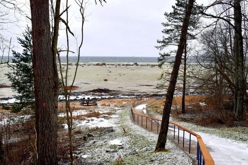 Discover Estonia-car tour from Tallinn to Keila-Joa Waterfal - Who Will Love This Tour?