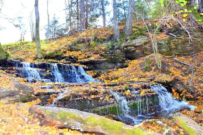 Discover Estoniatour to Lahemaa with waterfalls and nature. - Key Points  
