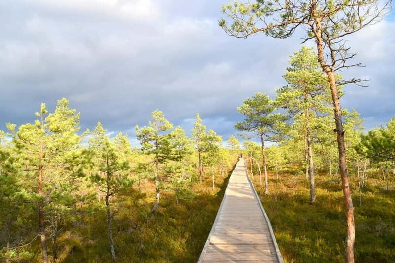 Discover Estoniatour to Lahemaa with waterfalls and nature. - What Makes This Tour Stand Out