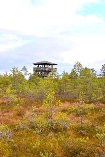 Discover Estoniatour to Lahemaa with waterfalls and nature. - The Value for Money
