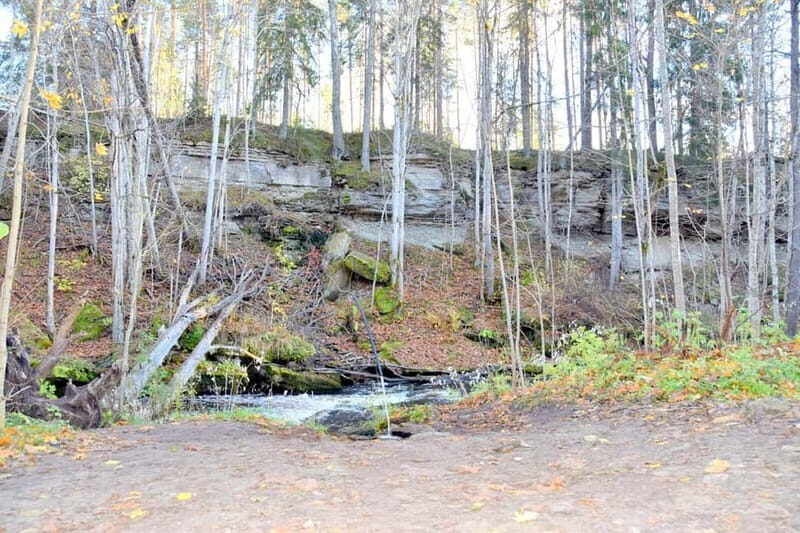 Discover Estoniatour to Lahemaa with waterfalls and nature. - Who Would Enjoy This Tour?