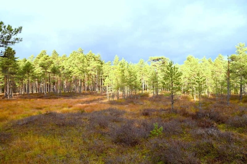 Discover Estoniatour to Lahemaa with waterfalls and nature. - Frequently Asked Questions