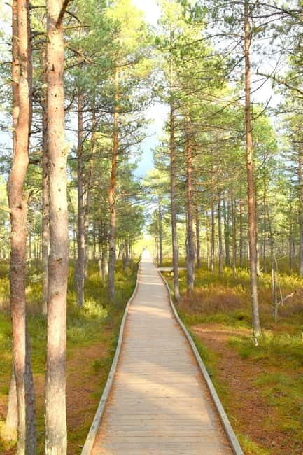 Discover Estoniatour to Lahemaa with waterfalls and nature. - Final Thoughts