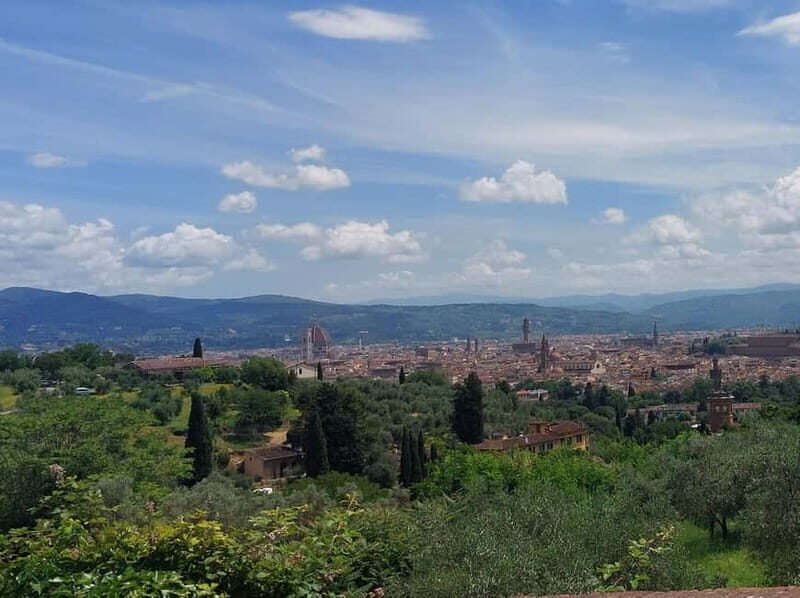 Discover Florence with Wine Tasting like a local - An Elegant Way to See Florence