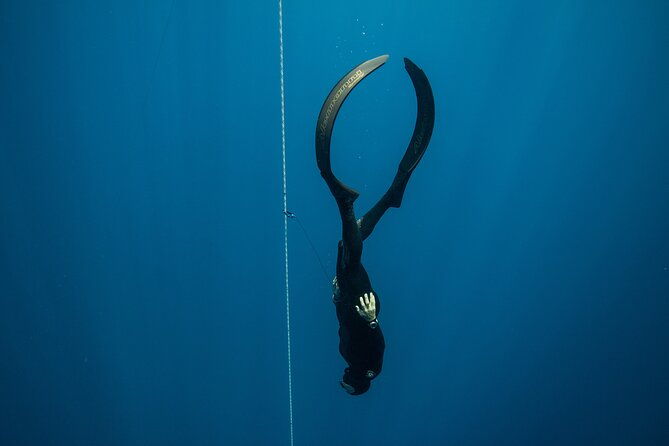 discover-freediving-course