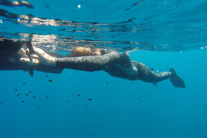 discover-freediving-course