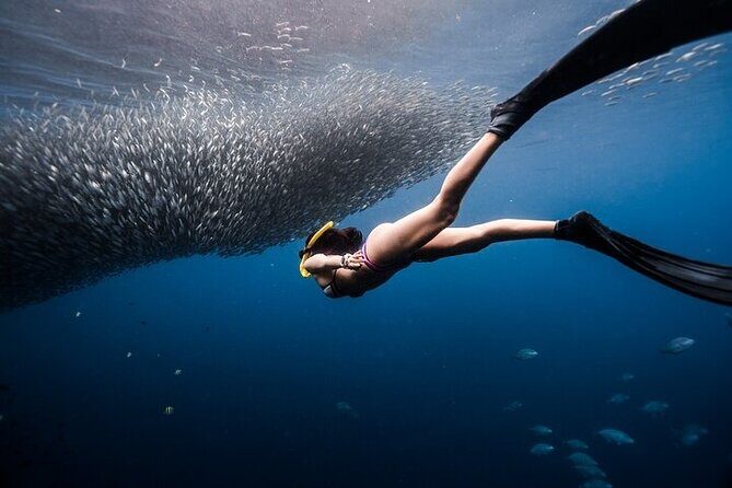 Discover Freediving One Amazing Day - Discover Freediving One Amazing Day: An In-Depth Review