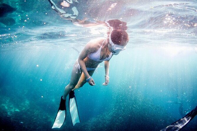 Discover Freediving One Amazing Day - An Honest Look at the Experience