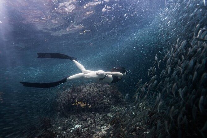 Discover Freediving One Amazing Day - FAQ
