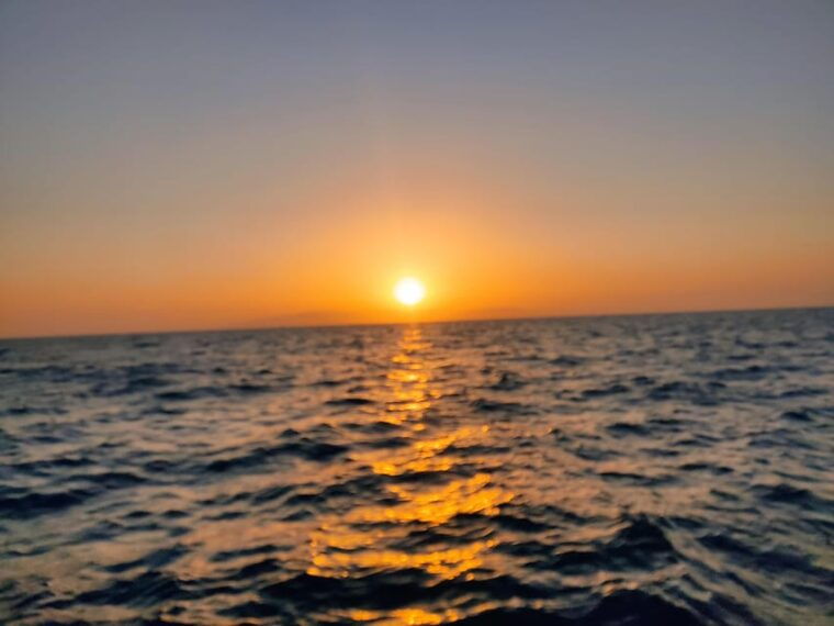discover-freedom-rent-a-boat-no-license-required