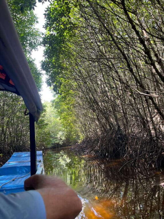 discover-half-day-country-side-tours-cavesalt-pepper-farm