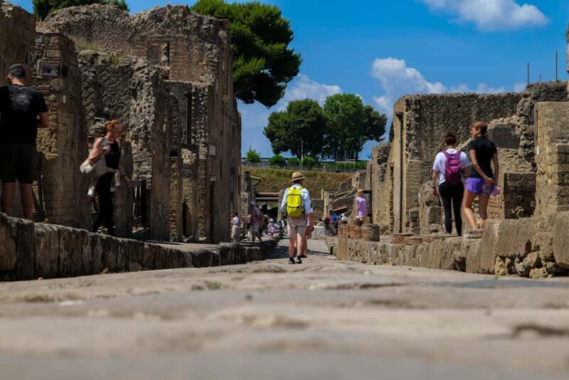 Discover Herculaneum: Guided tour in English of the ancient Roman city - Key Points
