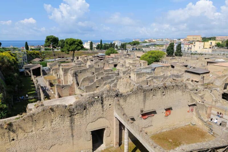 Discover Herculaneum: Guided tour in English of the ancient Roman city - Who Should Consider This Tour?
