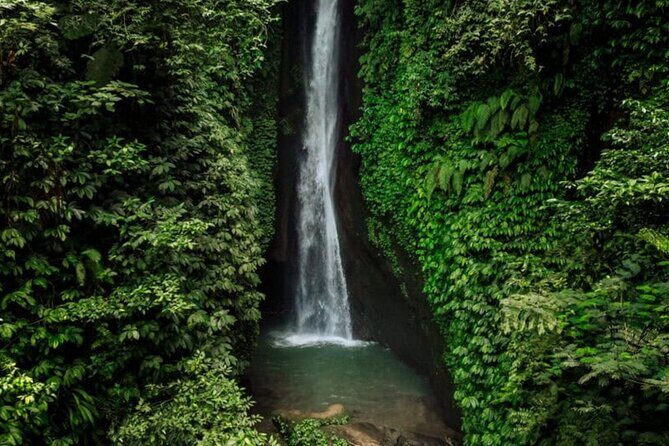Discover Hidden Bali Waterfalls in Private All Inclusive Tour - Introduction: A Natural Escape with a Personal Touch