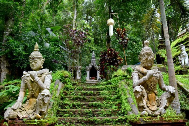 Discover Hidden Gem Northern Temples l Chiang Mai I Thailand - Who Should Consider This Tour?