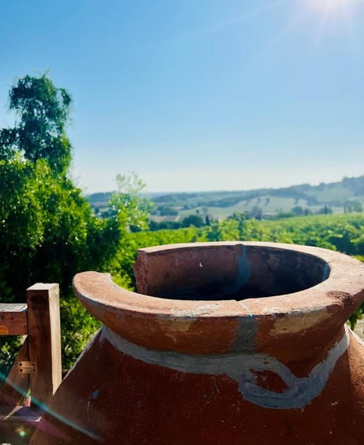 discover-italian-wines-exclusive-tasting-at-tenuta-la-viola