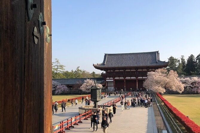 discover-japan-in-10-days-the-land-of-tradition-and-innovation