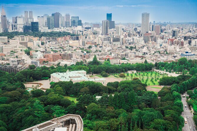 Discover Japanese Politics Over a Coffee in Tokyo - An In-Depth Look at the Experience