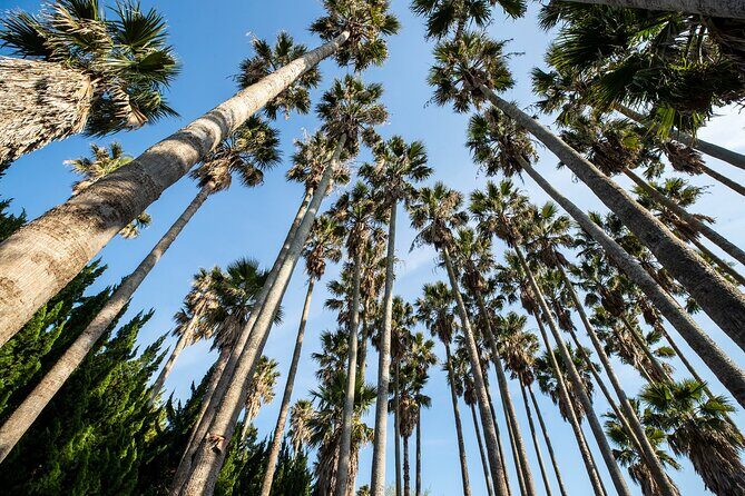 Discover Jeju in 3days: A Curated All-Inclusive Experience - Key Points