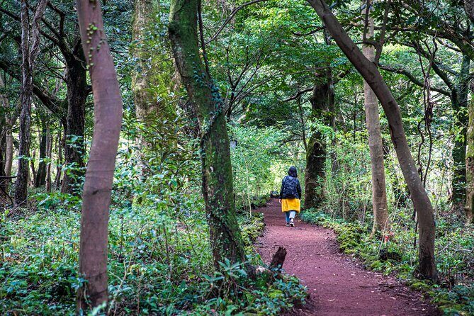 Discover Jeju in 3days: A Curated All-Inclusive Experience - An In-Depth Look at the 3-Day Jeju Tour