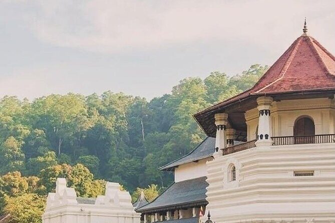 Discover Kandy by Tuk Tuk All inclusion - Practical Details and What to Expect