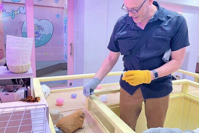 Discover Kawaii Harajuku Lolita Guide Street Food and Fashion - Who Will Love This Tour?