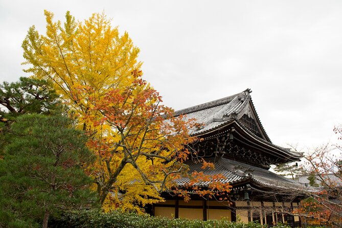 discover-kyoto-by-bike-authentic-half-day-tour
