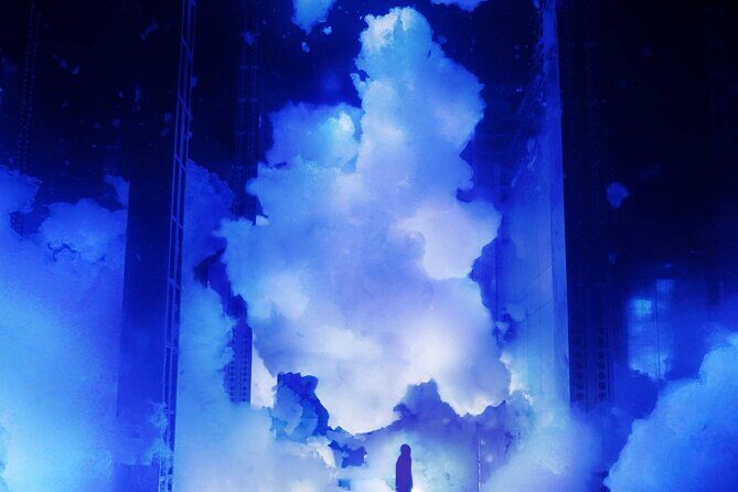 Discover Kyoto TeamLab Biovortex Experience - What Is the Discover Kyoto TeamLab Biovortex Experience?