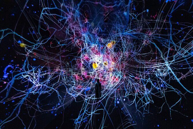 Discover Kyoto TeamLab Biovortex Experience - The Practical Side: Accessibility and Value