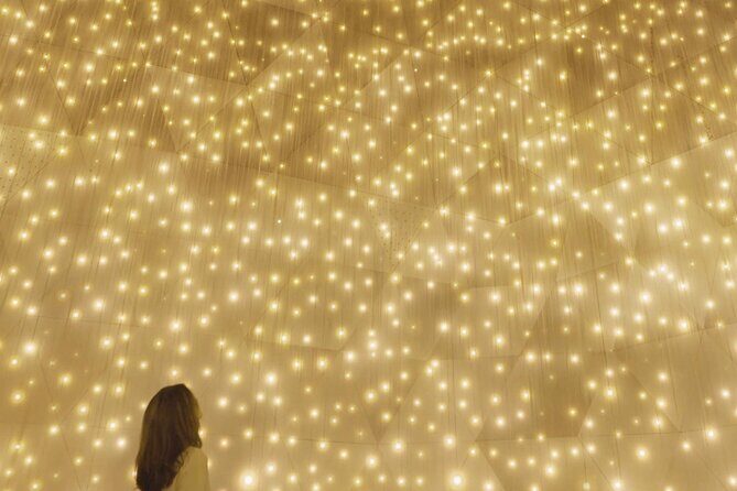 Discover Kyoto TeamLab Biovortex Experience - Final Thoughts