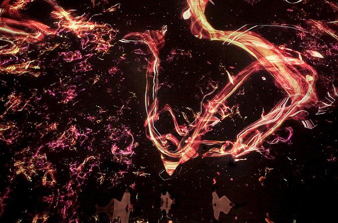 Discover Kyoto TeamLab Biovortex Experience - FAQ