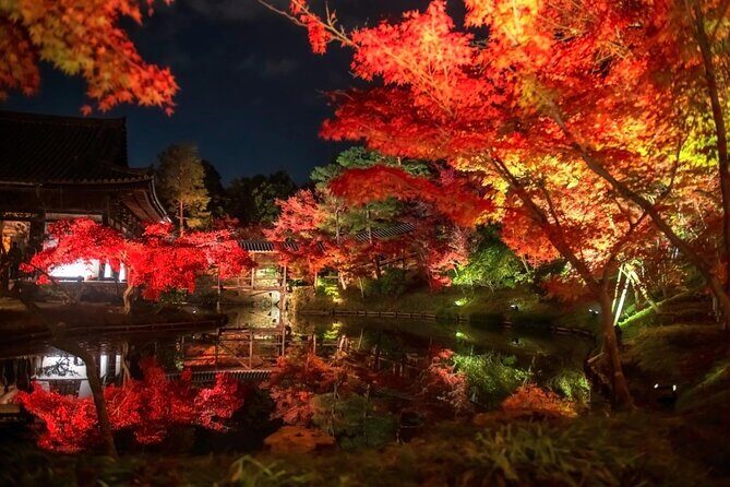 Discover Kyotos Most Magical Night - Who Should Consider This Tour?