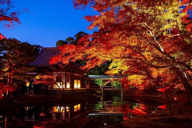 Discover Kyotos Most Magical Night - FAQ